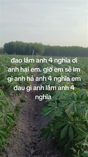 Video của Lâm Thiếu Gia 1985@ (@_lamthieugia1985) với bản nhạc nhạc nền - Trường Vũ✅ - Thấu Hiểu Tình Đời✅