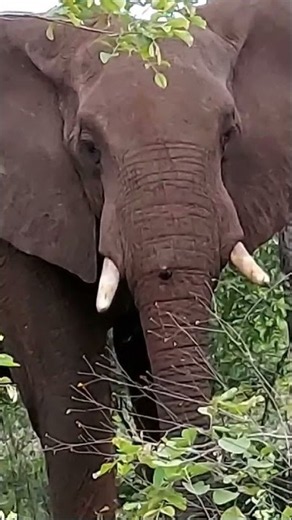 Sudáfrica, un destino que te dejará con la boca abierta