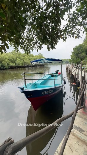1M views · 5.6K reactions | Local’s Guide to Pondicherry’s Best Spots! #onetenfashions #pondicherrytourism #pondicherry #traveltamilnadu #vlog #tamil #tourism #travel | Rohini | Facebook