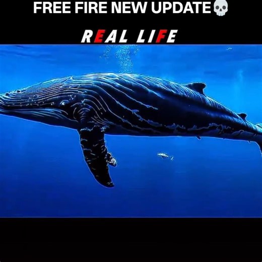 free fire New update 💀#freefire #shorts