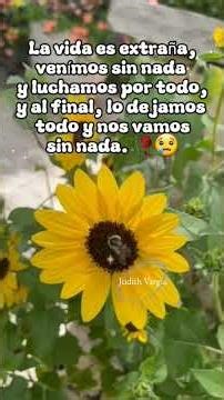 José Maria Napoleón "Vive"