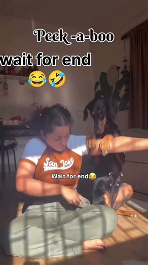 Wait For My Dog Reaction 😂😎#funnyvideo #comedyvideo #viral