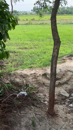 Ol Chiki Similar to Hangul | Dr. Kade Soren #santali_latest_video #motivation #santalilatest #santa | Santali Thought