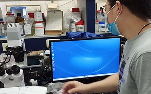 12软件的使用.mp4