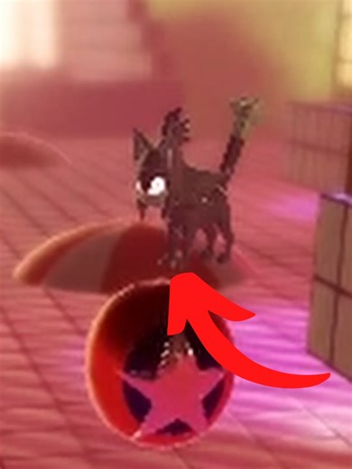 Sonic the Hedgehog: Blaze the Cat's Memorable Moments