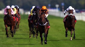 French 2000 Guineas preview: What the trainers say
