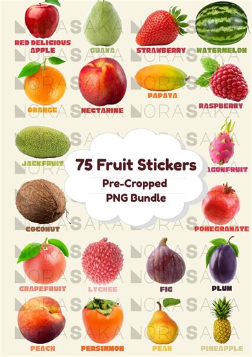 Fruit Stickers Bundle | Exotic & Rare Fruits Clipart | Educational Food Stickers - Etsy