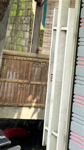 GL100 Basic Tiger AG Nganjuk: Spesifikasi Lengkap