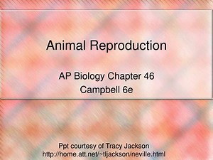 Animal Reproduction - SlideServe