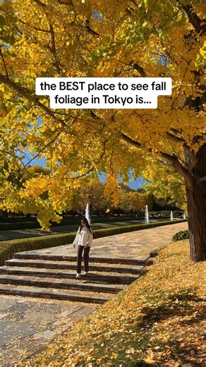 Renee Roaming on TikTok