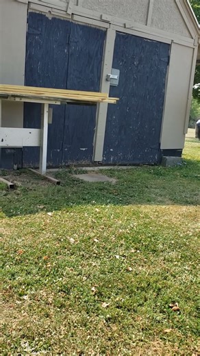 HERO, LEAVE THE BABIES ALONE ! #chipmunk #hero #funny #comedy #cute #wildlife #friendly #nature