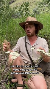 How to use yarrow to save your life #fyp #bushcraft #survival #foraging #PlantTok #wildernessskills #sagesmokesurvival | Sage Smoke Survival