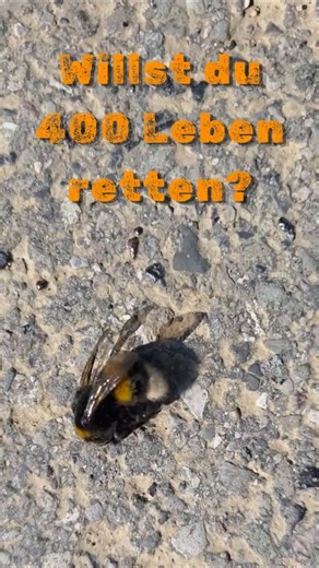 Willst du 400 Leben retten?
