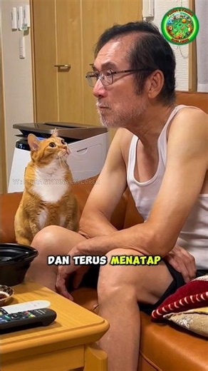 Awalnya Benci, Kini Si Kakek Begitu Mencintai Kucing Orennya ♥️🐈