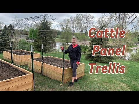 How to Build a Cattle Panel Trellis - Step by Step + What Materials you need