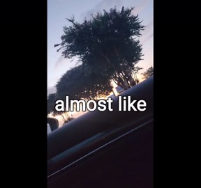 Sunset Drive: Nature's Evening Symphony