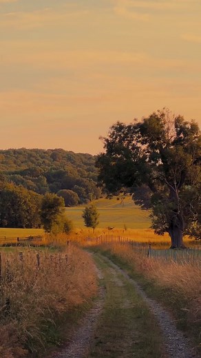 #sunset #uk #photography #countryside