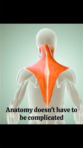 How to study anatomy | simple tips