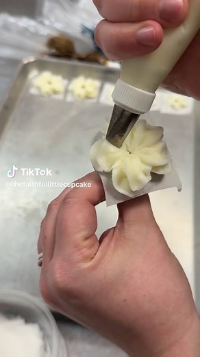 Ashley (@thefaithfullittlecupcake) - Winter Floral Buttercream Cake Decorating Tutorial