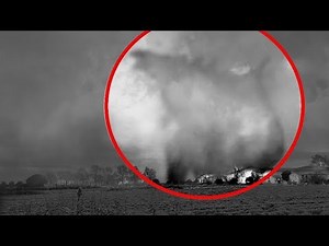 Godzilla Caught On Camera In Real Life !