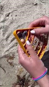 The BEST & WORST Fidgets to Bring to the Beach! 🏖🌊