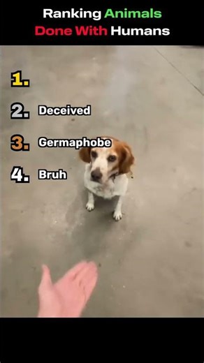 Ranking Animals Done With Humans