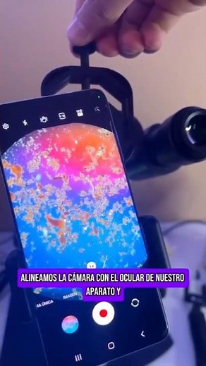 Microscope Recording Tutorial 🔬