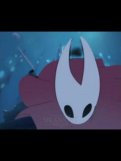 Quirrel And Hornet Are PEAK | Hollow Knight | #hollowknight #hollowknightedit #games #edit
