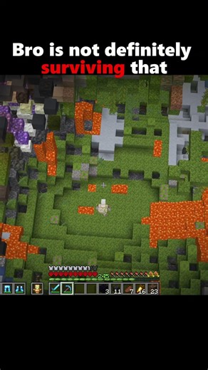 Bro is not definitely surviving that.... #minecraft