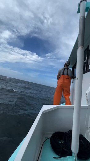 Clipsbyjamuk on Instagram: "Guys, whose house is it?"