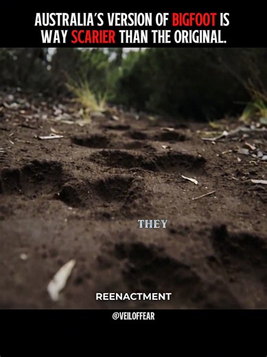 The Haunted Bigfoot of the Australian Bush: Part 2 | Cryptid Encounter