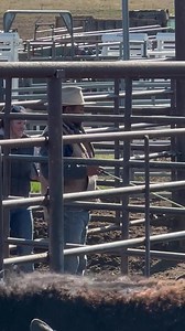 26K views · 1.1K reactions | Getting em ready for grass | Chad Berger Bucking Bulls | Facebook