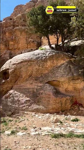 From the highest point in Shobak | A breathtaking view | Natural scenery | Stunning landscapes #n...