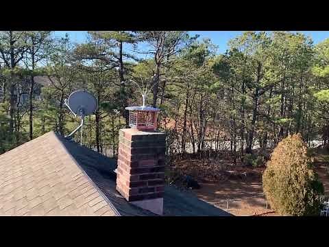 A Shocking Way to Prevent Turkey Vultures from Roosting on the Roof