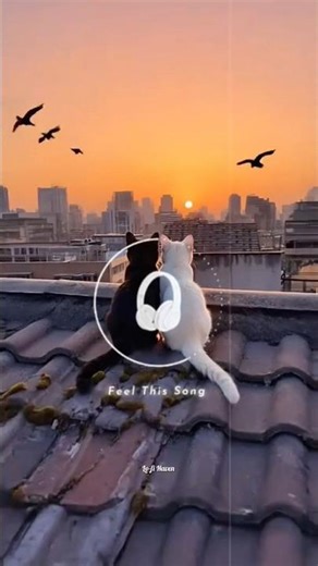 Barish Ki Jaaye🥀| Lyrics Status | #lyrics #shorts #treding