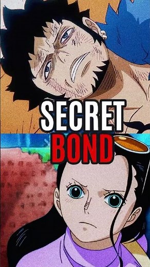 Law’s Secret Moment with Robin That Shocked One Piece Fans