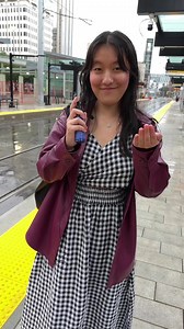 From urine to mysterious powders, Edmonton transit riders have seen it all. According to the Edmonton Transit System website, the bus fleet is cleaned once a day, and the Capital Line LRT is cleaned every 90 minutes. But how dirty can transit vehicles get when transporting thousands of riders each day? We asked the germ guy. #germs #transit #edmonton #cbcnews