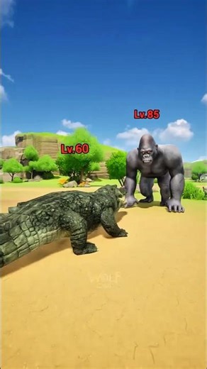 From Weak Wolf to GOD DRAGON 🐺➡️🐉 | Epic Evolution & Boss Battles (Level 10–300) #wolfgame #wolf