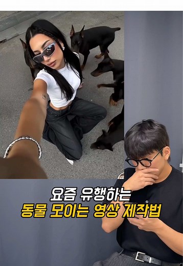 요즘 유행하는 동물 모이는 영상 제작법 🐶 ✅ 주요 어플: 필모라 ✅ 주요 기능: 템플릿 - 나노바나나 🎬 스마트폰으로도 쉽게 영상 제작 해봐요! ✨ 이 내용이 도움이 되셧다면 좋아요, 공유, 팔로우 부탁드려요! ✨ 영상 제작 저를 찾아주세요! @reels_drgn ✨ 이 정보를 지인들에게 공유해주세요! . . . . #광고 #필모라 #영상편집강의 #ai
