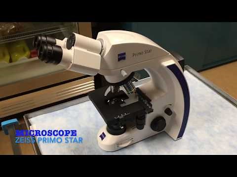 Microscopie 1 : Les parties du microscope