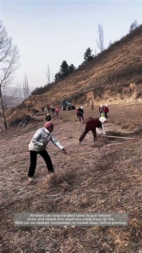 Field Cleanup & Windrow Raking: Prepping Land for the Next Crop