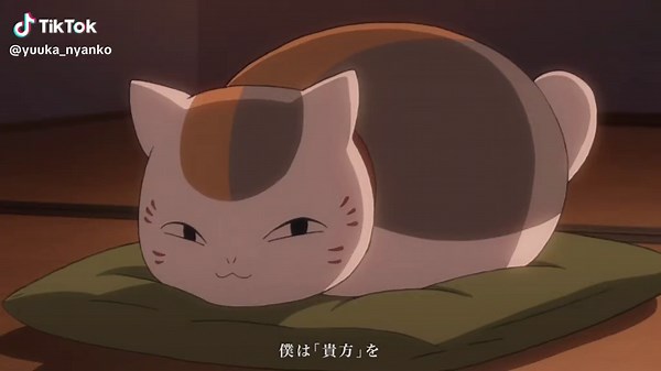 最初は友人帳目的みたいなとこあったけど、いまではお互い大事な存在になってると思ってます #ニャンコ先生 #夏目貴志 #夏目友人帳