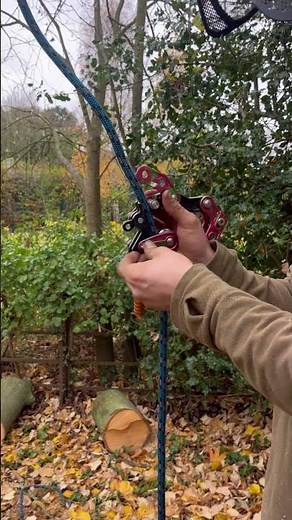 Akimbo V Rope runner pro - On and off comparison #tree #treework #akimbo #roperunnerpro