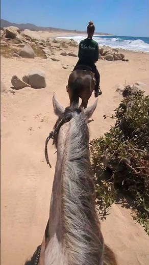 Carnival Miracle 2024 Cruise Highlights - Mexican Riviera from Long Beach CA #travel