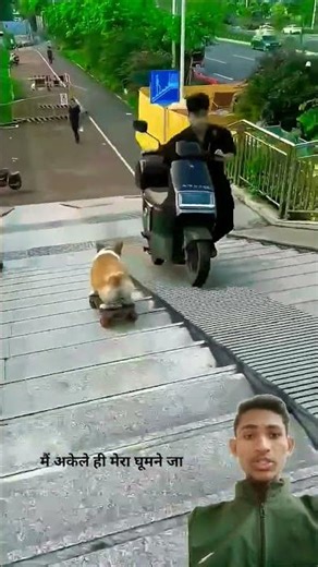 🥵 ll Carriage House wooden artist ll #cartoon​ #shortvideo​😱😱