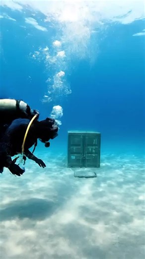 Uncovering Secrets: What’s Inside the Underwater Container