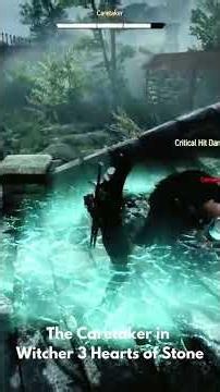 The Caretaker in Witcher 3 Hearts of Stone