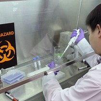 Genetic Engineering of Primary Mouse Intestinal Organoids Using Magnetic Nanoparticle Transduction Viral Vectors for Frozen Sectioning