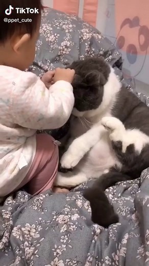 Baby 👶 &cat 🐱😘😘😘😘#pet #lovely #baby #fyp