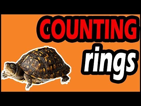 “Counting Rings” Method to Determine a Turtle's Age